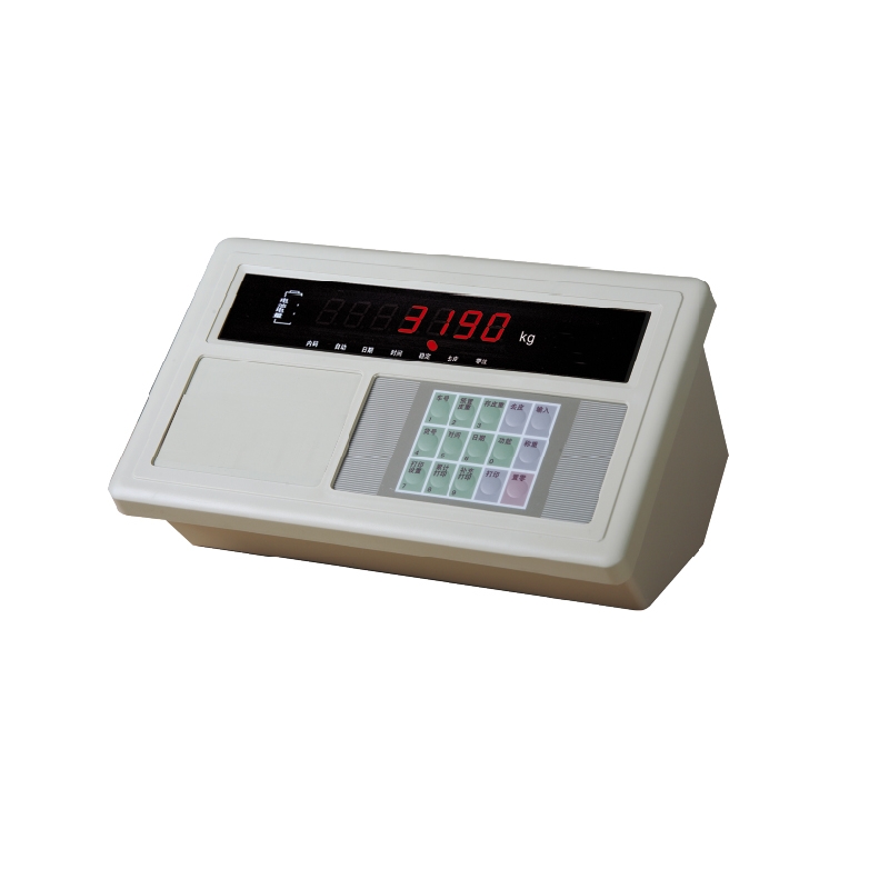 A9+衡器专用仪表